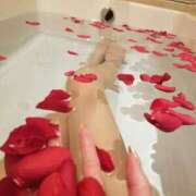 ヒメ日記 2025/05/07 12:18 投稿 ラピス バニーコレクション秋田店