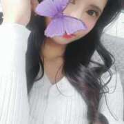 ヒメ日記 2025/05/14 09:03 投稿 ラピス バニーコレクション秋田店