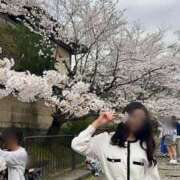 ヒメ日記 2026/02/27 18:19 投稿 ラピス バニーコレクション秋田店