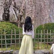 ヒメ日記 2026/02/28 15:04 投稿 ラピス バニーコレクション秋田店