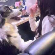 ヒメ日記 2026/03/26 22:40 投稿 ラピス バニーコレクション秋田店