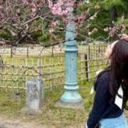 ヒメ日記 2026/03/29 21:16 投稿 ラピス バニーコレクション秋田店