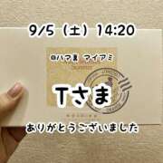 ヒメ日記 2026/09/05 17:16 投稿 仲川るな 大人めシンデレラ 新横浜店（シンデレラグループ）