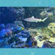 ヒメ日記 2025/02/21 12:23 投稿 あずさ 人妻倶楽部 内緒の関係 越谷店