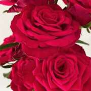 ヒメ日記 2025/08/15 12:21 投稿 あずさ 人妻倶楽部 内緒の関係 越谷店