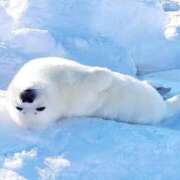 ヒメ日記 2026/01/12 17:53 投稿 あずさ 人妻倶楽部 内緒の関係 越谷店