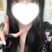 かれん 本日のかれん いざ候 本館