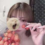 ヒメ日記 2025/06/20 07:58 投稿 まな ケープエンジェル