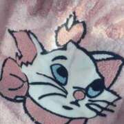 ヒメ日記 2025/03/09 09:26 投稿 るん ホワイトハウス