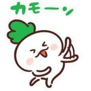 ヒメ日記 2025/02/03 13:51 投稿 りあん マリンマリン