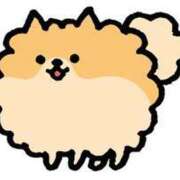 ヒメ日記 2025/07/24 22:34 投稿 りあん マリンマリン