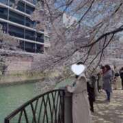 ヒメ日記 2025/02/14 09:59 投稿 こう 奥様はエンジェル　国分寺店