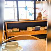 ともみ 至福のひととき🐾 エロティックマッサージ 新橋