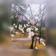 ヒメ日記 2025/02/02 17:04 投稿 ここみ 錦糸町人妻セレブリティ（ユメオト）