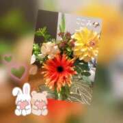 ヒメ日記 2025/02/16 14:39 投稿 ここみ 錦糸町人妻セレブリティ（ユメオト）