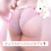 ヒメ日記 2025/02/20 21:48 投稿 ここみ 錦糸町人妻セレブリティ（ユメオト）