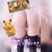 ヒメ日記 2025/06/15 12:18 投稿 ここみ 錦糸町人妻セレブリティ（ユメオト）