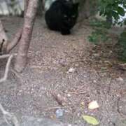 ヒメ日記 2025/03/05 14:55 投稿 みやび リッチドールパート2梅田店