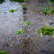 ヒメ日記 2025/08/12 06:24 投稿 丸井友美 五十路マダム富山店(カサブランカグループ)