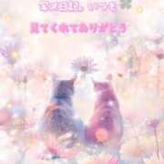 ヒメ日記 2025/09/05 17:26 投稿 丸井友美 五十路マダム富山店(カサブランカグループ)