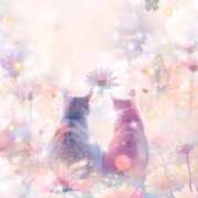 ヒメ日記 2026/01/27 15:02 投稿 丸井友美 五十路マダム富山店(カサブランカグループ)