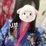 ヒメ日記 2025/11/19 19:02 投稿 りせ さくらん