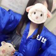 ヒメ日記 2026/03/27 18:03 投稿 りせ さくらん