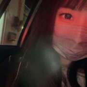 ヒメ日記 2026/02/15 09:12 投稿 コハク ツートップ