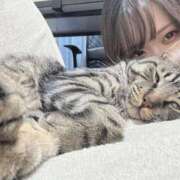 ヒメ日記 2025/03/11 10:22 投稿 ももな パリス雄琴店