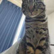 ヒメ日記 2025/03/16 19:22 投稿 ももな パリス雄琴店