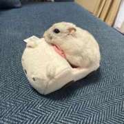 ヒメ日記 2025/04/26 13:02 投稿 ももな パリス雄琴店