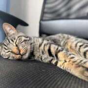 ヒメ日記 2025/05/04 11:45 投稿 ももな パリス雄琴店