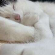 ヒメ日記 2025/06/09 00:02 投稿 ももな パリス雄琴店