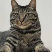 ヒメ日記 2025/09/20 14:25 投稿 ももな パリス雄琴店