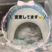 ヒメ日記 2025/09/22 23:32 投稿 ももな パリス雄琴店