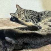 ヒメ日記 2025/11/28 00:52 投稿 ももな パリス雄琴店