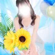 ヒメ日記 2025/07/19 07:57 投稿 あき ハッピーブリッジ