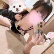 ヒメ日記 2025/09/30 21:37 投稿 あき ハッピーブリッジ