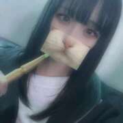 ヒメ日記 2025/03/19 11:33 投稿 りず アラカルト