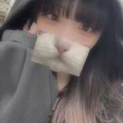 ヒメ日記 2025/04/06 11:46 投稿 りず アラカルト