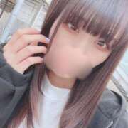 ヒメ日記 2025/04/12 11:46 投稿 りず アラカルト