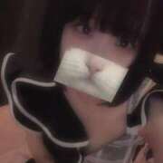 ヒメ日記 2025/04/24 14:43 投稿 りず アラカルト