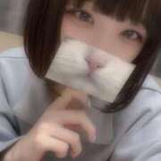 ヒメ日記 2025/04/26 15:41 投稿 りず アラカルト