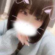 ヒメ日記 2025/05/18 13:37 投稿 りず アラカルト