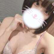 ヒメ日記 2025/05/20 09:42 投稿 りず アラカルト