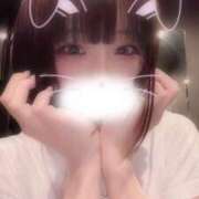 ヒメ日記 2025/05/22 13:46 投稿 りず アラカルト