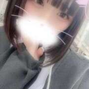 ヒメ日記 2025/06/02 13:32 投稿 りず アラカルト