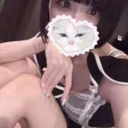 ヒメ日記 2025/06/15 07:47 投稿 りず アラカルト