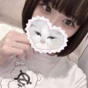 ヒメ日記 2025/06/19 11:40 投稿 りず アラカルト