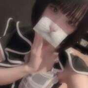 ヒメ日記 2025/06/21 14:57 投稿 りず アラカルト